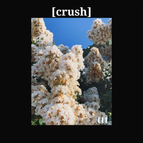 crush | Boomplay Music