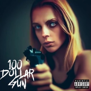 $100 Gun