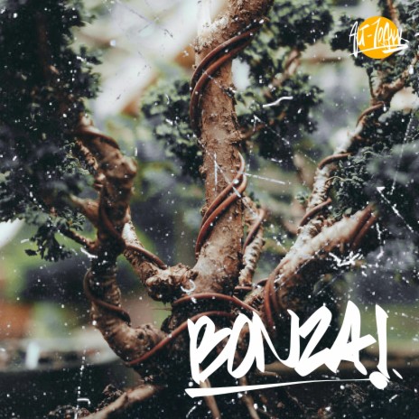 Bonzai | Boomplay Music