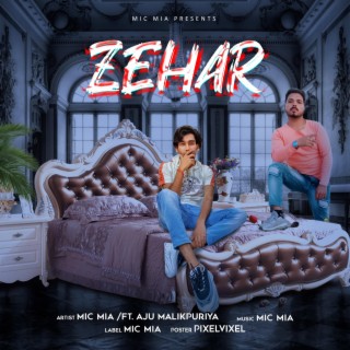 Zehar ft. Aju Malikpuriya lyrics | Boomplay Music