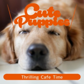 Thrilling Cafe Time