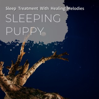 Sleep Treatment with Healing Melodies