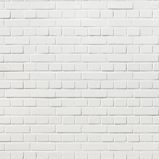 White Bricks