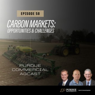 Carbon Markets For U.S. Row Crop Producers: Opportunities And Challenges