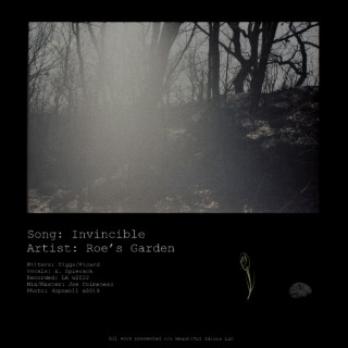 Invincible lyrics | Boomplay Music