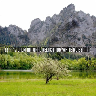 ! ! ! ! 17 Calm Natural Relaxation White Noise ! ! ! !