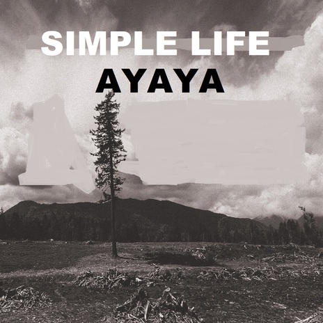 Simple Life | Boomplay Music