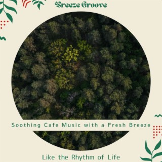 Soothing Cafe Music with a Fresh Breeze - Like the Rhythm of Life