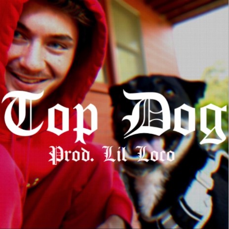 Top Dog | Boomplay Music