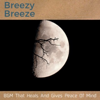 Bgm That Heals and Gives Peace of Mind