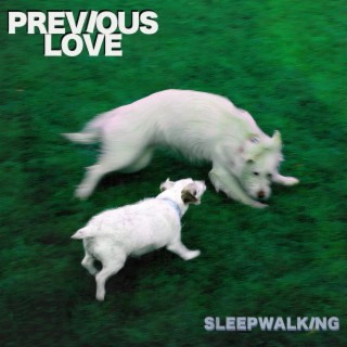 Sleepwalking lyrics | Boomplay Music