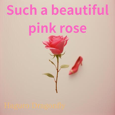 Such a beautiful pink rose