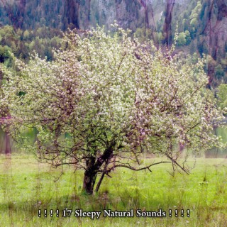 ! ! ! ! 17 Sleepy Natural Sounds ! ! ! !