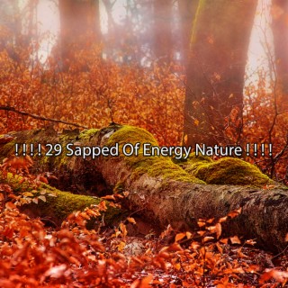 ! ! ! ! 29 Sapped Of Energy Nature ! ! ! !