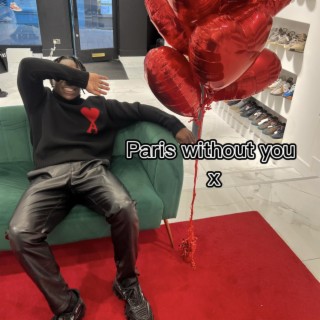 Paris without you