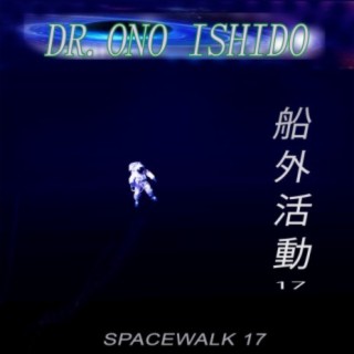 Spacewalk 17