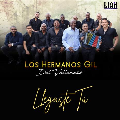 Llegaste Tú | Boomplay Music