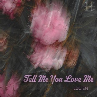 Tell Me You Love Me lyrics | Boomplay Music