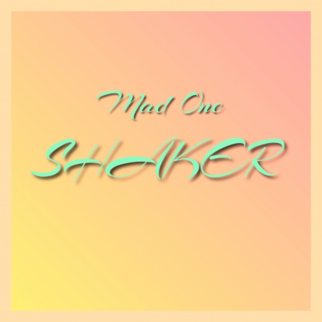 Salsa Shaker | Boomplay Music