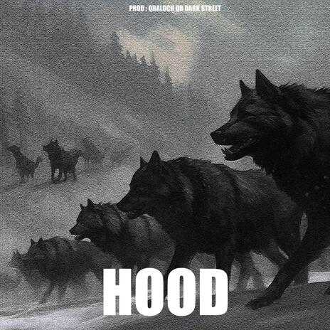 Hood ft. Qbaloch QB & Dark Street | Boomplay Music