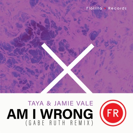 Am I Wrong (Gabe Ruth Remix Radio Edit) ft. Jamie Vale | Boomplay Music