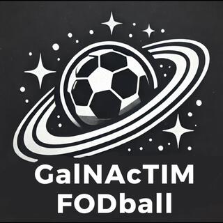 GalNAcTIM FODball (Interdep 2025)