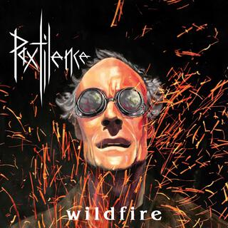 Wildfire