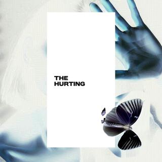 the hurting lyrics | Boomplay Music