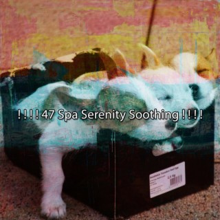 ! ! ! ! 47 Spa Serenity Soothing ! ! ! !