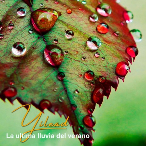 La ultima lluvia del verano | Boomplay Music