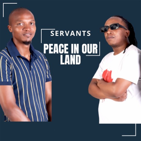 Peace Our Land | Boomplay Music