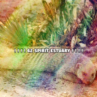 ! ! ! ! 62 Spirit Estuary ! ! ! !