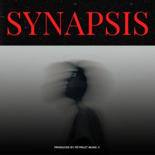 Synapsis