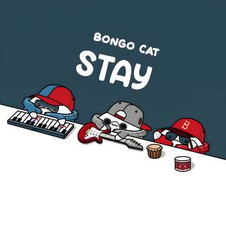 STAY