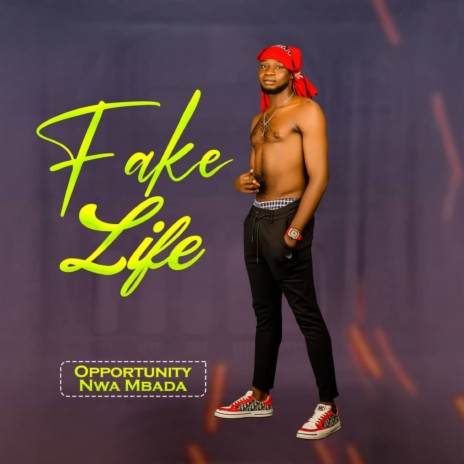 FAKE LIFE | Boomplay Music