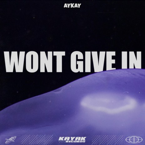 Wont Give In | Boomplay Music