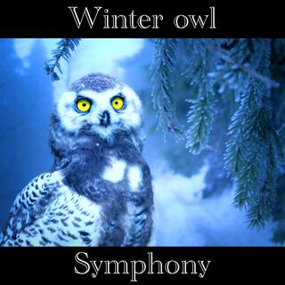 Winter owl