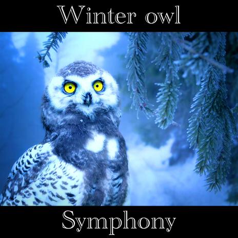 Winter owl