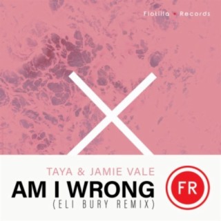 Am I Wrong (Eli Bury Remix)