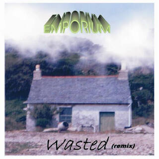 Wasted (Remix)