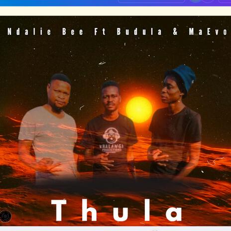 Thula ft. Budula & Dj Maevo | Boomplay Music