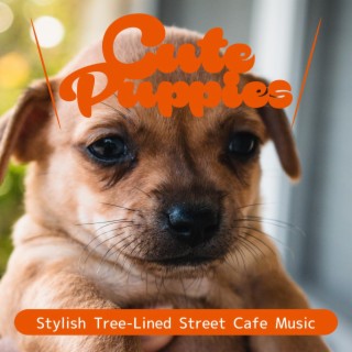 Stylish Tree-lined Street Cafe Music