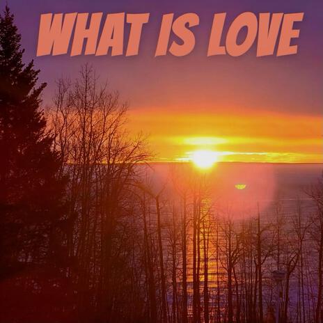 What is Love | Boomplay Music