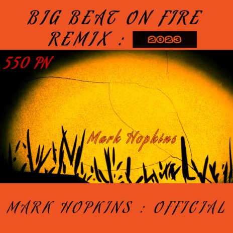 550 PN BIG BEAT ON FIRE | Boomplay Music