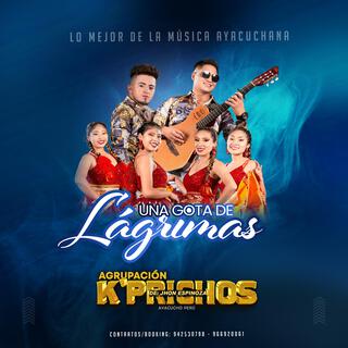 Una Gota De Lágrimas lyrics | Boomplay Music