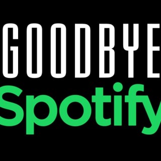***A VERY SPECIAL ANNOUNCEMENT ABOUT RANDOMOSITY ON SPOTIFY***