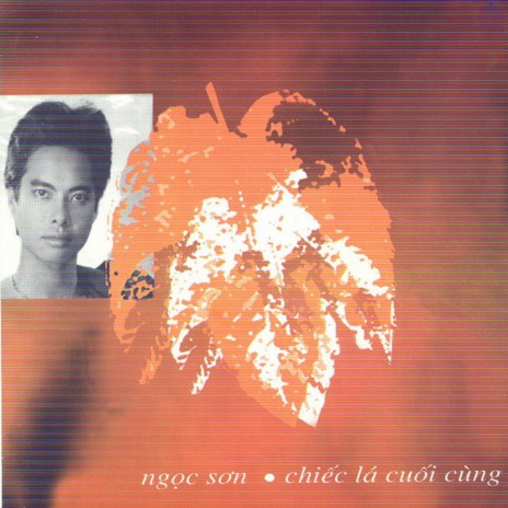 Xin em đừng khóc | Boomplay Music