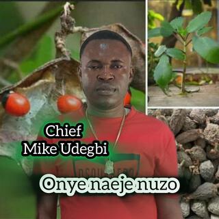 Onye naeje nuzo