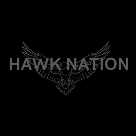 Hawk Nation | Boomplay Music