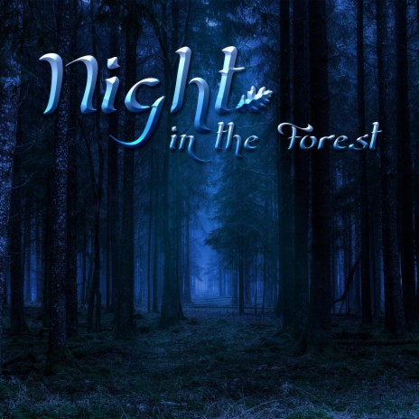 Night in the Forest | Boomplay Music